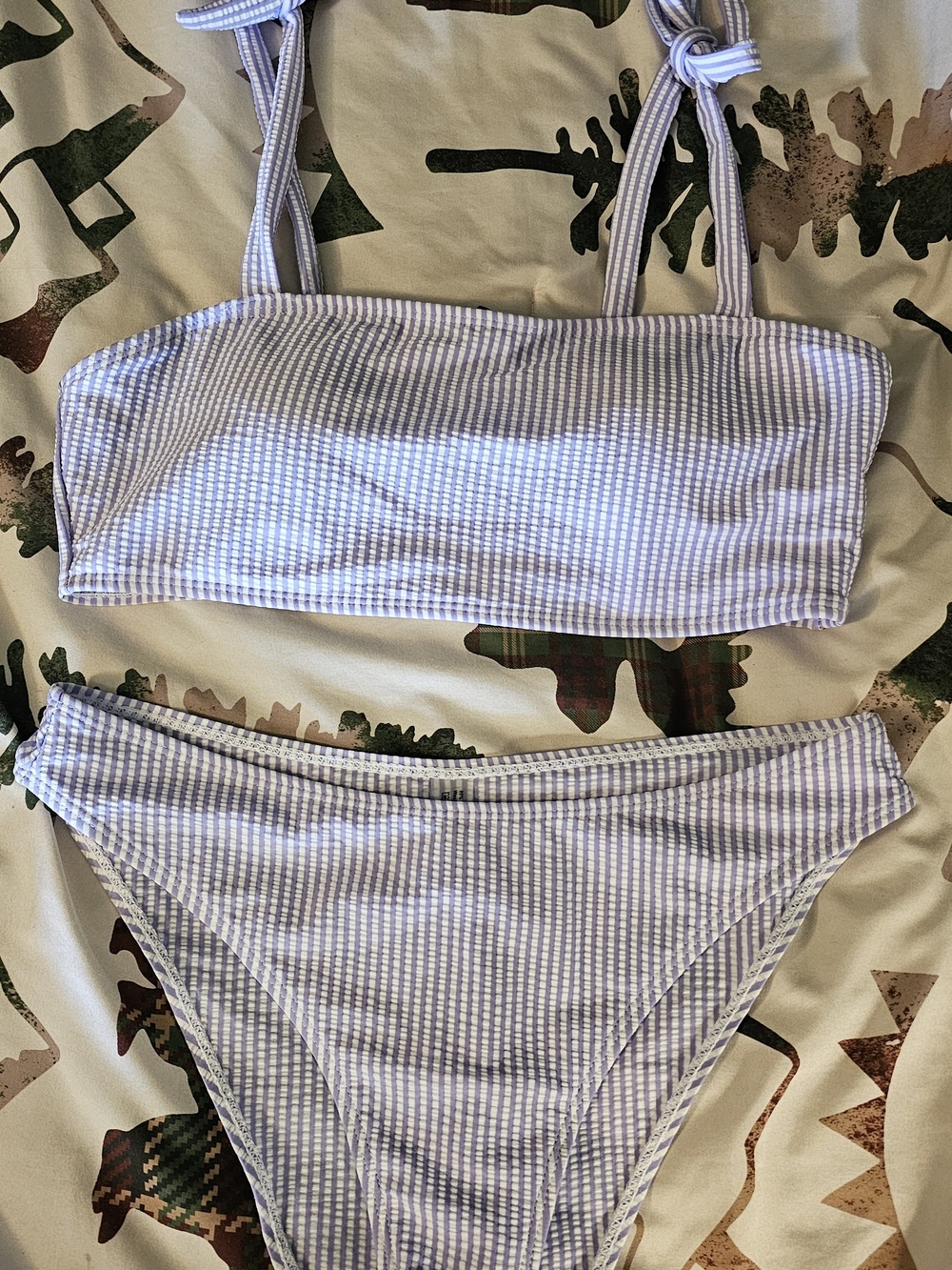 Striped Lavender Bikini Set